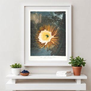 The Night-Blowing Cereus (1799–1807) Poster