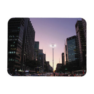 The Night In The Paulista Avenue - Sao Paulo Magnet