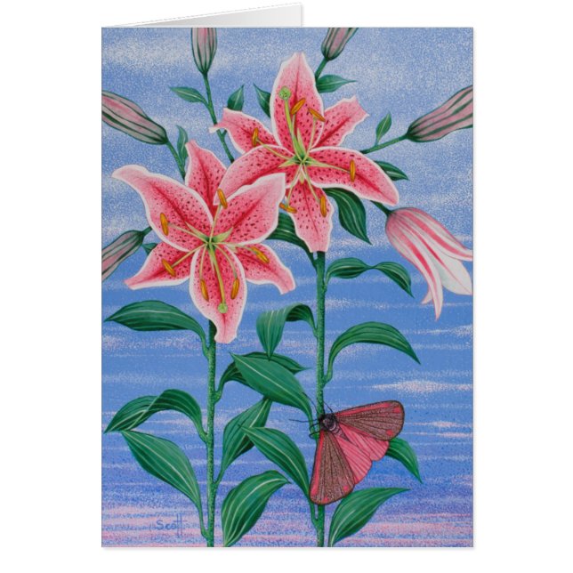 The Night Shift 2011 (Front)