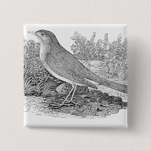 The Nightingale 15 Cm Square Badge