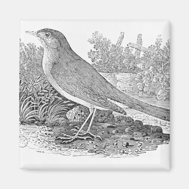 The Nightingale Magnet (Front)