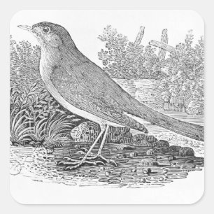 The Nightingale Square Sticker