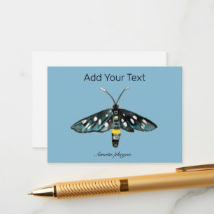 The Nine-Spotted Moth Amata phegea Illustration Enclosure Card