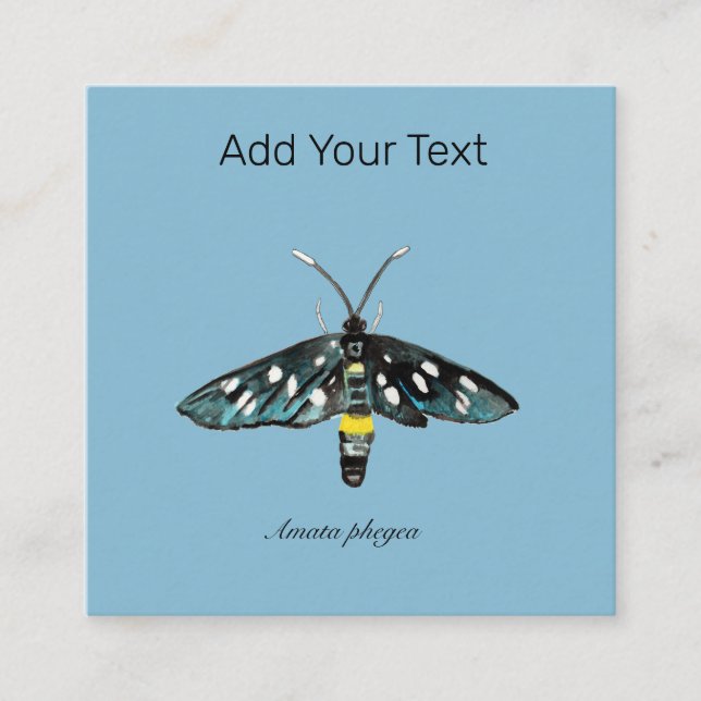 The Nine-Spotted Moth Amata phegea Illustration   Enclosure Card (Front)