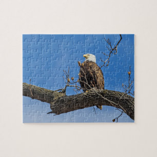 The Noble Bald Eagle Jigsaw Puzzle