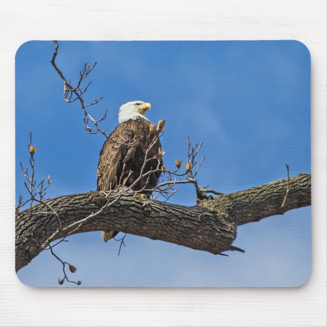 The Noble Bald Eagle Mouse Pad (Front)