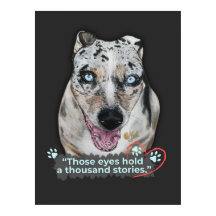 The Noble Paws - Leopard dog