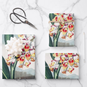The Nodding Renealmia from The Temple of Flora Art Wrapping Paper Sheet