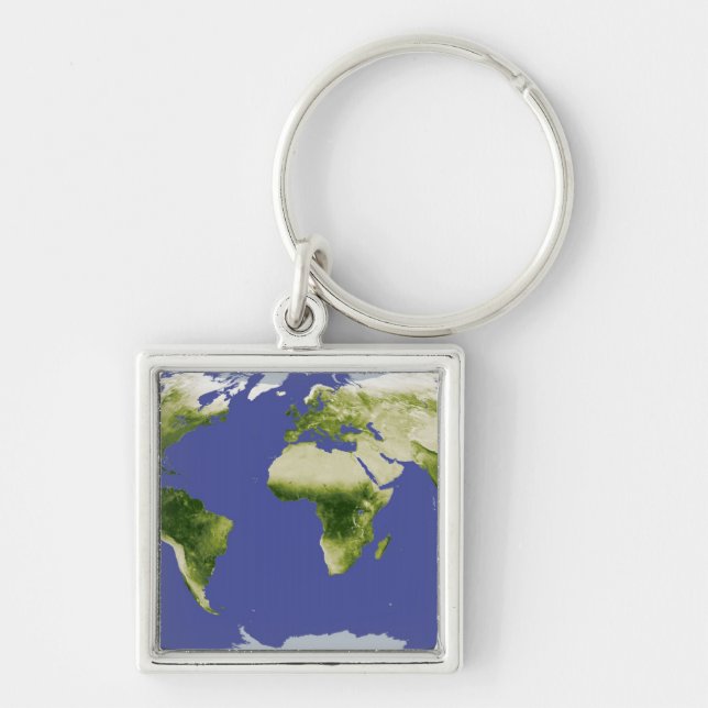 The Normalised Difference Vegetation Index Key Ring (Front)