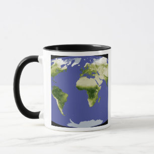 The Normalised Difference Vegetation Index Mug