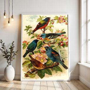 The North American Bird World, Gustav Mützel Poster