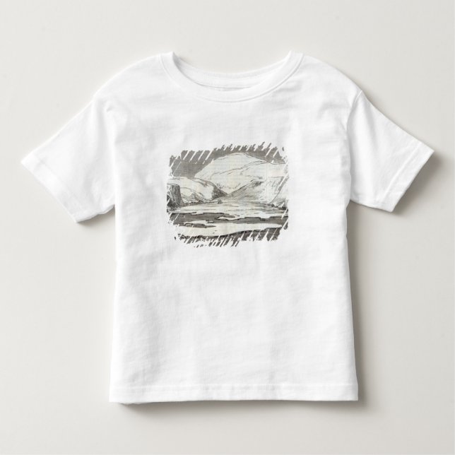 The North Pole Expedition Toddler T-Shirt (Front)