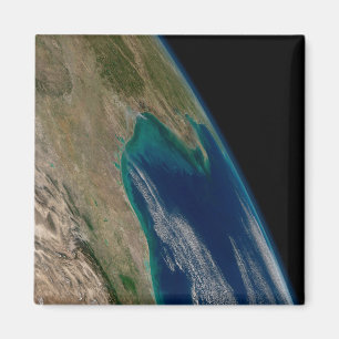 The Northern Gulf Of Mexico. Magnet