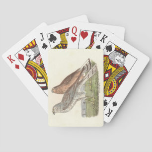 The Northern Harrier (Ring-tailed Hawk) NY Bird Playing Cards