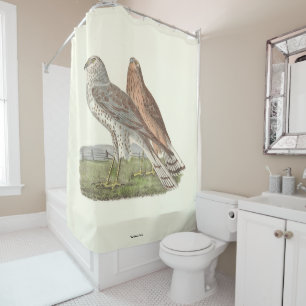 The Northern Harrier (Ring-tailed Hawk) NY Bird Shower Curtain