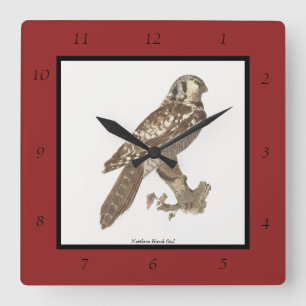 The Northern Hawk Owl (Surnia ulula) Bird Image Square Wall Clock