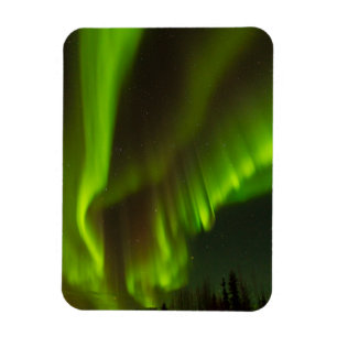 The Northern Lights Fairbanks, Alaska Magnet