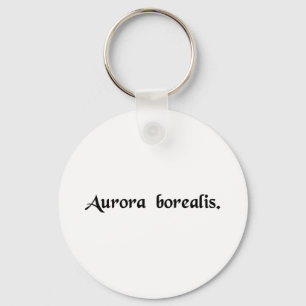 The Northern lights Key Ring