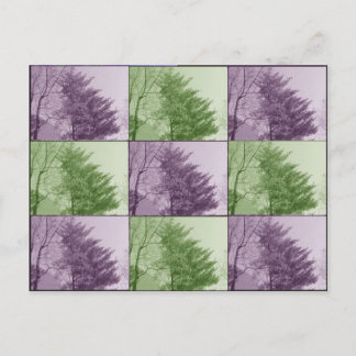 the northgate nine postcard