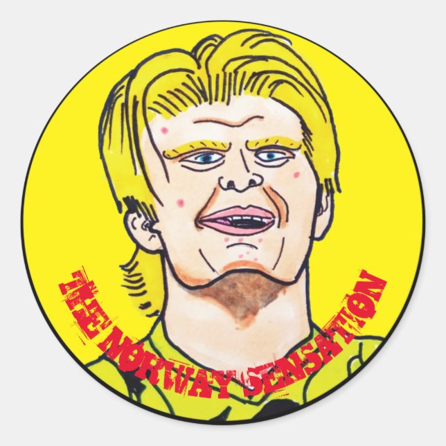 The Norway Sensation Classic Round Sticker (Front)