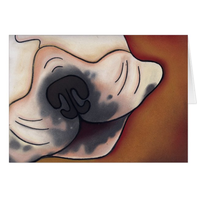 The Nose Knows by Robyn Feeley (Front Horizontal)