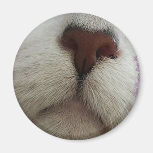 The Nose Knows Cat Nose #1 magnet