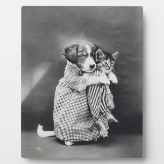 The Nurse Puppy Kitten Harry Whittier Frees 1914 Plaque