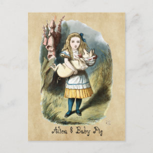 The Nursery Alice, Baby Pig in Wonderland Postcard