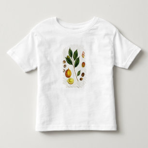 The Nutmeg, plate 353 from 'A Curious Herbal', pub Toddler T-Shirt
