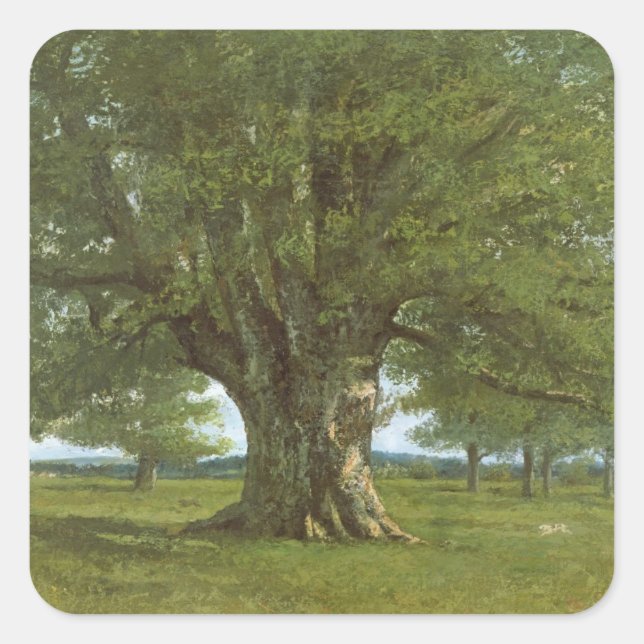 The Oak of Flagey, called Vercingetorix Square Sticker (Front)
