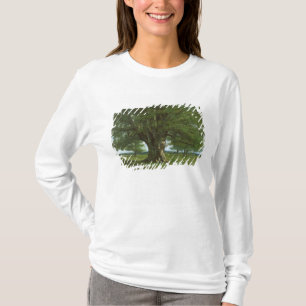 The Oak of Flagey, called Vercingetorix T-Shirt