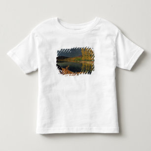 The Oarsman, 1897 Toddler T-Shirt