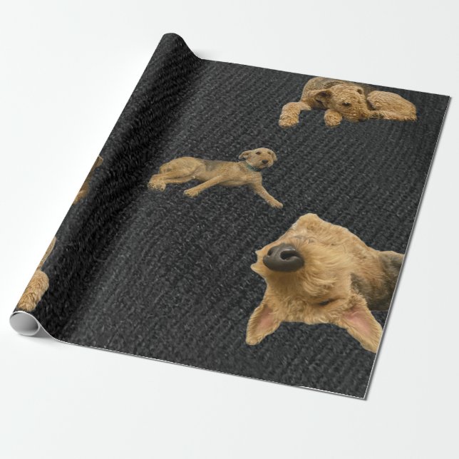 The Obstinate Airedale Wrapping Paper (Unrolled)