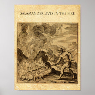 The OCCULT FIRE SALAMANDER Poster