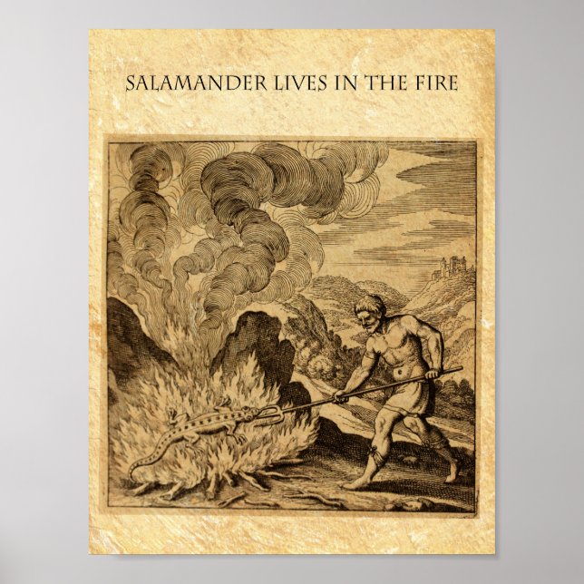 The OCCULT FIRE SALAMANDER Poster (Front)