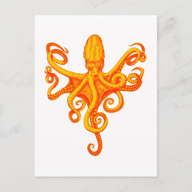 THE OCTOPUS SHINES POSTCARD (Front)