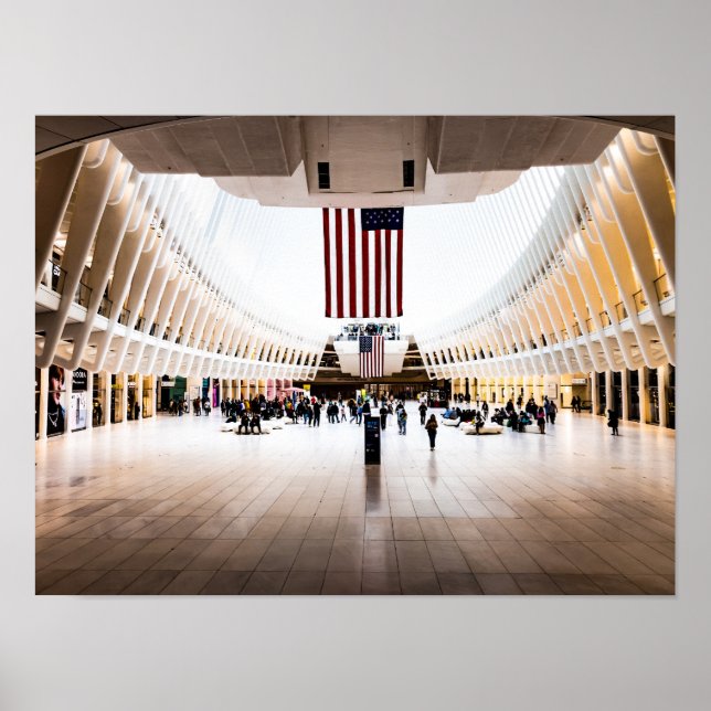 The Oculus  Poster (Front)