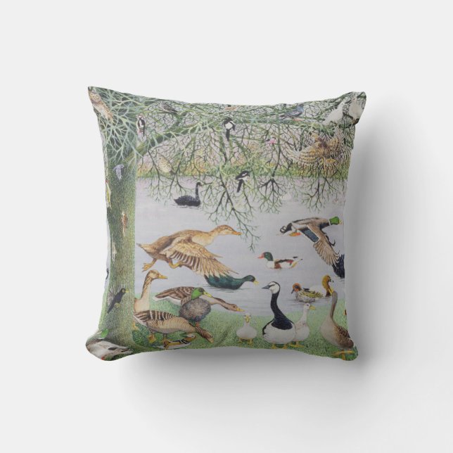 The Odd Duck Cushion (Front)