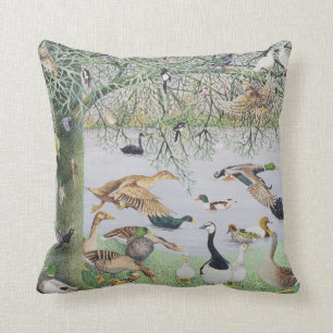 The Odd Duck Cushion