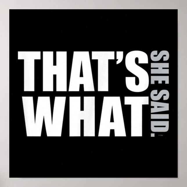 The Office Thats What She Said DunderMifflinzz Poster (Front)