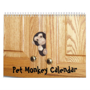 The Official Pet Monkey Calendar
