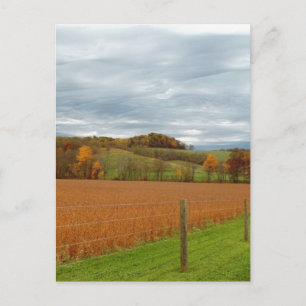 The Ohio Valley Postcard