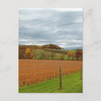 The Ohio Valley Postcard