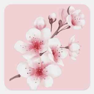 The Okinawa Series Design 30   Square Sticker