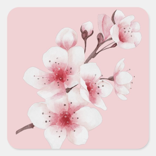 The Okinawa Series Design 30   Square Sticker (Front)