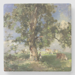 The Old Ash Tree (oil on canvas) Stone Coaster