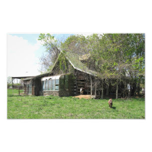 The Old Goats Home Photo Print