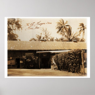 The Old Hasegawa Store Poster