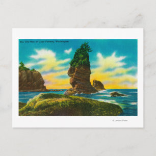 The Old Man of Cape Flattery, WA Postcard