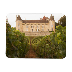 The old mediaeval Chateau de Rully in the Cote Magnet